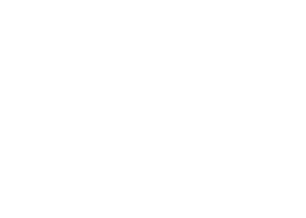 логотип Novus