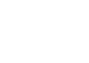логотип TRUE BRIT
