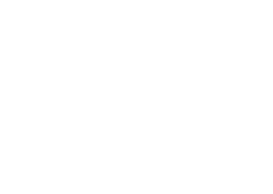 логотип Varus