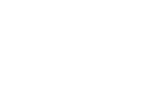 логотип Vega